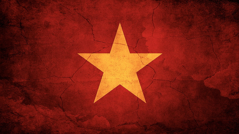 Star Logo wallpaper\ HD wallpaper